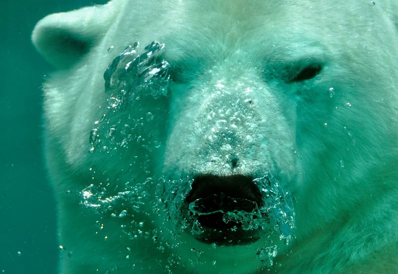 Svalbard, Norway